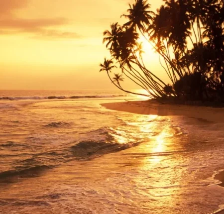 voyage-yoga-sri-lanka