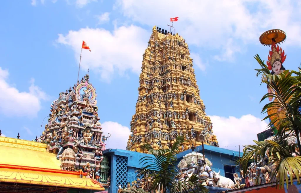 voyage solidaire au sri lanka