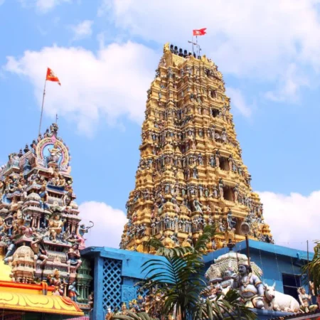 voyage solidaire au sri lanka