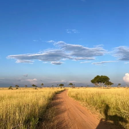 safari Ouganda
