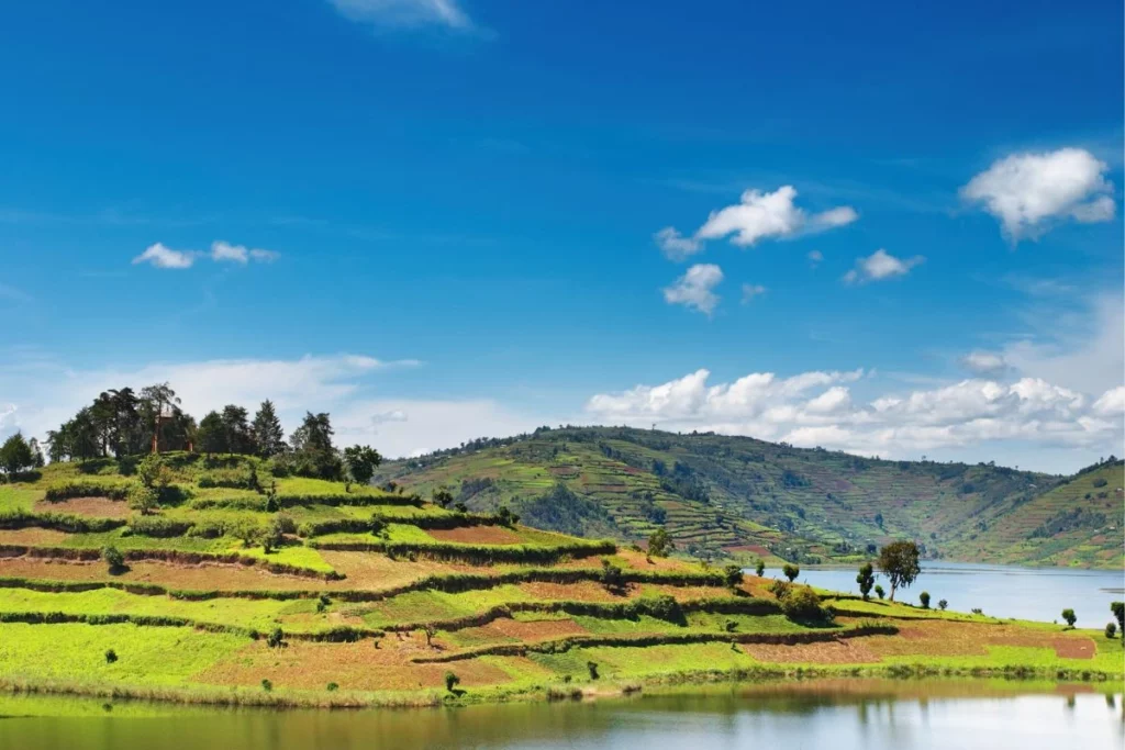 Quand partir en Ouganda ?