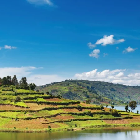 voyage immersif ouganda