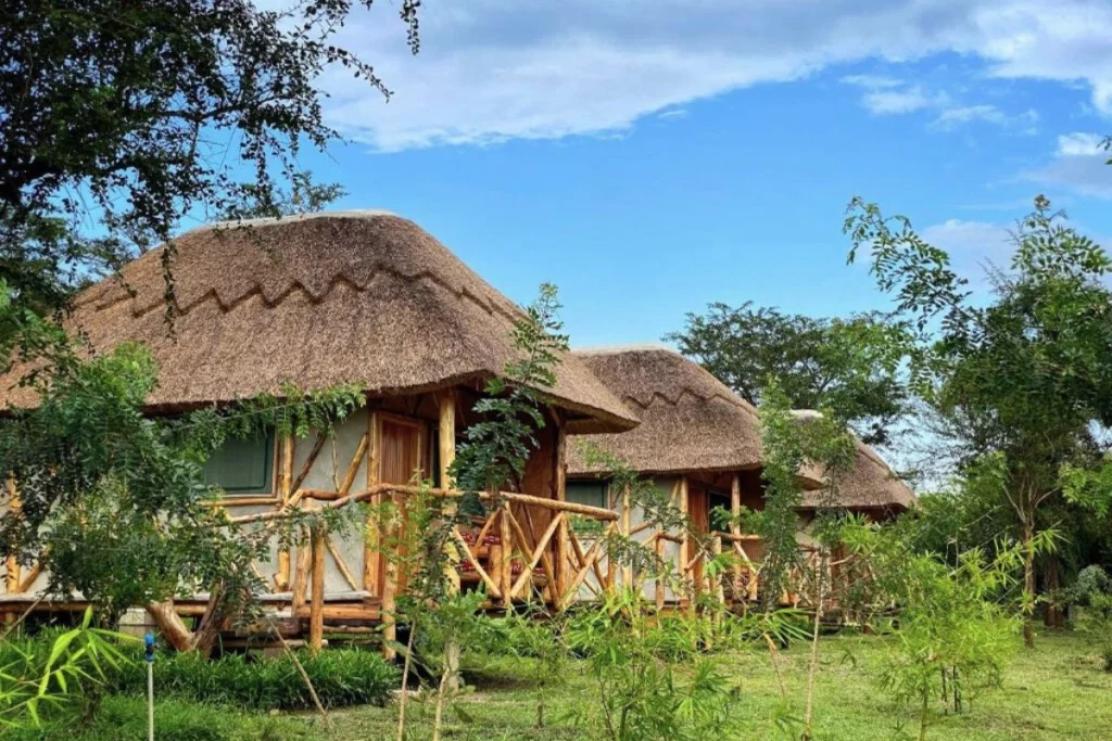 voyage immersif ouganda