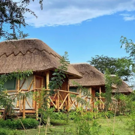 voyage immersif ouganda