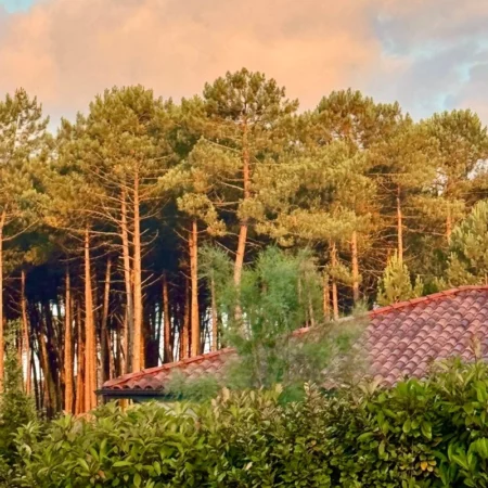 Retraite yoga Landes - Ines