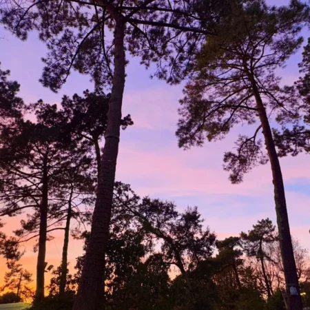 retraite yoga landes