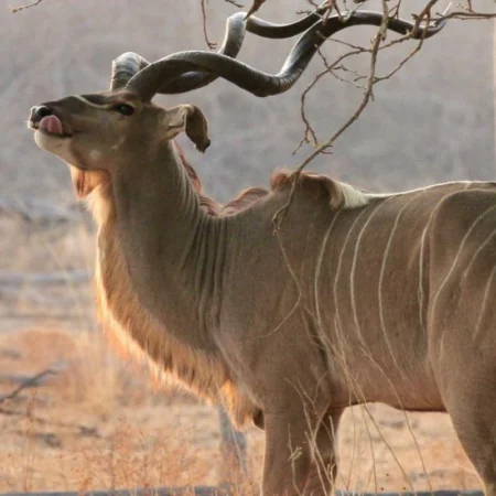 Voyage immersif zambie