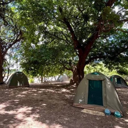 Voyage immersif zambie