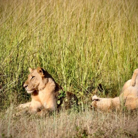 Voyage immersif zambie