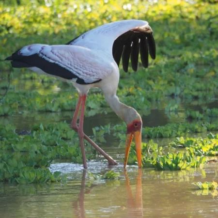 Voyage immersif zambie