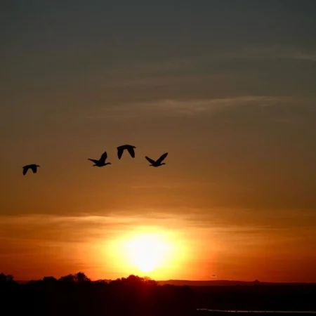 Voyage immersif zambie