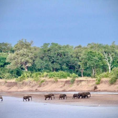 Voyage immersif zambie