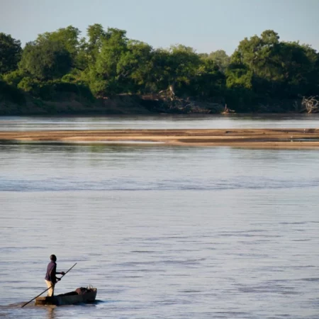 Voyage immersif zambie