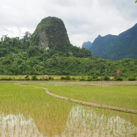 Voyage yoga au Laos Ban Na