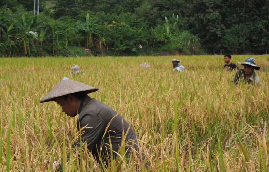 Voyage au Laos Muang La