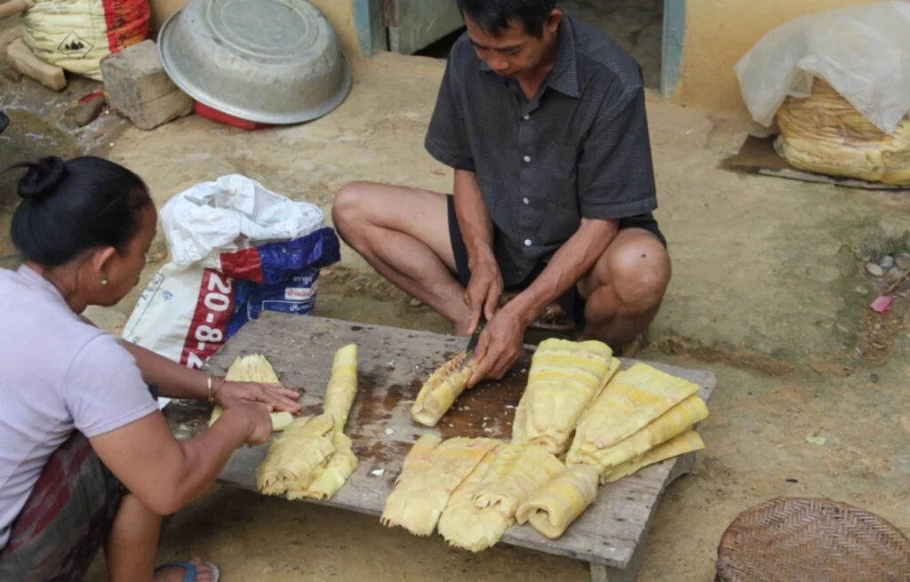 Voyage au Laos Muang La