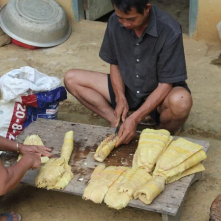 Voyage au Laos Muang La