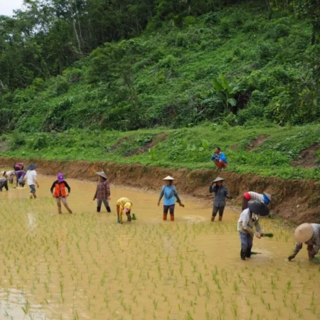 Voyage au Laos Nong Khiaw