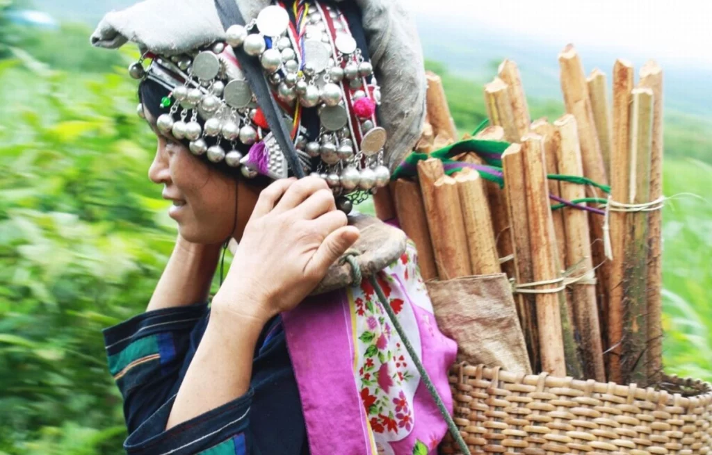 Voyage yoga au Laos Portrait