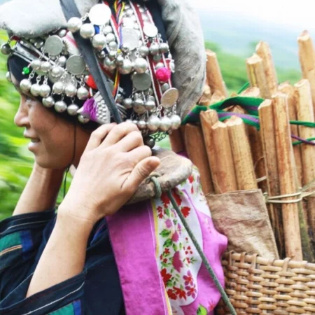 Voyage yoga au Laos Portrait