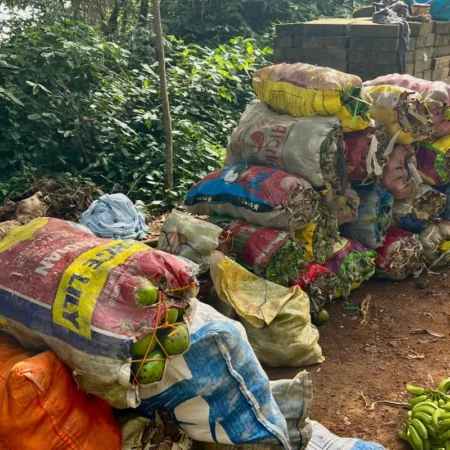 chez l'habitant togo