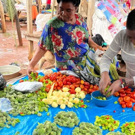 voyage au togo