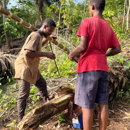 chez l'habitant togo